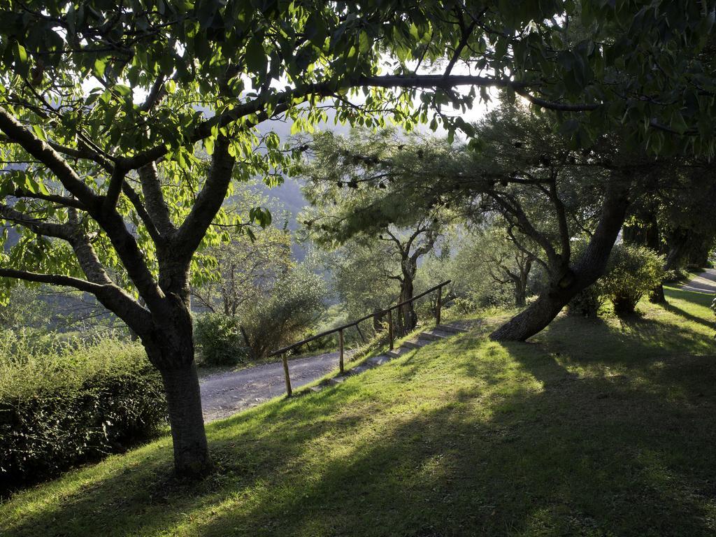 Le Silve Di Armenzano Hotell Assisi Eksteriør bilde