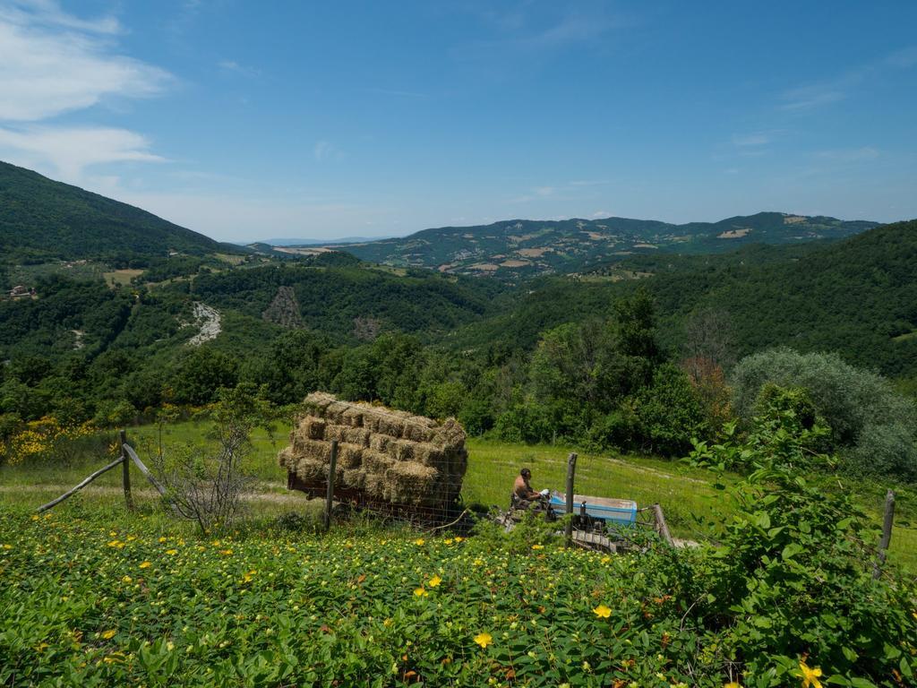 Le Silve Di Armenzano Hotell Assisi Eksteriør bilde
